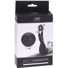 Xqmax pilatespallo 25 cm, vaaleanpunainen hinta ja tiedot | Voimistelupallot | hobbyhall.fi