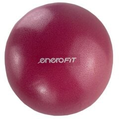 Pilatespallo, 25 cm, vaaleanpunainen hinta ja tiedot | Voimistelupallot | hobbyhall.fi