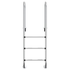 vidaXL Uima-allastikkaat 54x38x158 cm 304 ruostumaton teräs hinta ja tiedot | Uima-allastarvikkeet | hobbyhall.fi