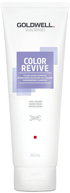 Shampoo hiusten värin elvyttämiseen Goldwell Cool Blonde Dualsenses Color Revive, 250 ml hinta ja tiedot | Shampoot | hobbyhall.fi