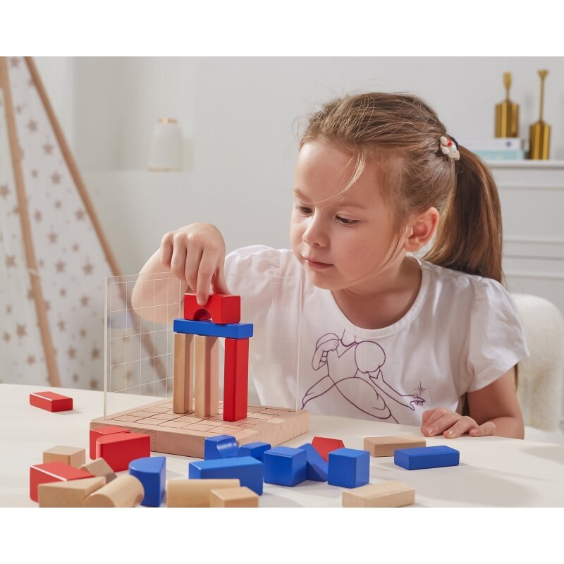 Puiset Montessori 3D palikat lapsille, Viga hinta ja tiedot | Kehittävät lelut | hobbyhall.fi