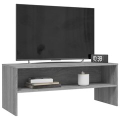 vidaXL TV-taso harmaa Sonoma 100x40x40 cm tekninen puu hinta ja tiedot | TV-tasot | hobbyhall.fi