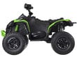 Quad quad lapsille, vihreä hinta ja tiedot | Lasten sähköautot | hobbyhall.fi