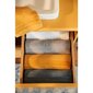 Kylpyhuoneen kaappi Tenzo Color Bath, keltainen hinta ja tiedot | Kylpyhuonekaapit | hobbyhall.fi