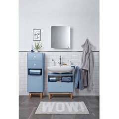 Kylpyhuoneen kaappi Tenzo Color Bath, sininen hinta ja tiedot | Tenzo Huonekalut ja sisustus | hobbyhall.fi