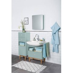 Allaskaappi Tenzo Color Bath, vihreä hinta ja tiedot | Kylpyhuonekaapit | hobbyhall.fi