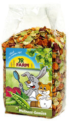 JR Farm kasvishiutaleita, jyrsijöiden ravintolisä, Wellness Vegetables, 600 g hinta ja tiedot | Pieneläinten ruoat | hobbyhall.fi