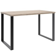 Työpöytä Aatrium Home Desk, 120x70x75, ruskea hinta ja tiedot | Tietokonepöydät ja työpöydät | hobbyhall.fi