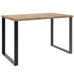 Työpöytä Atrium Home Desk, 120x70x75, ruskea hinta ja tiedot | Tietokonepöydät ja työpöydät | hobbyhall.fi