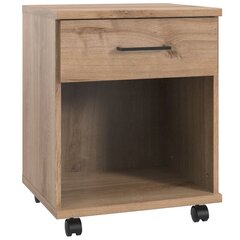 Säilytyskaluste Atrium Home Desk, 46x40x58 cm, ruskea hinta ja tiedot | Tietokonepöydät ja työpöydät | hobbyhall.fi