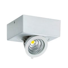 IGOR LED d 6w valkoinen nw 500 lm katto cob LED-valaistus Strühm 43x98x98mm hinta ja tiedot | Upotettavat valaisimet ja LED-valaisimet | hobbyhall.fi