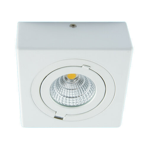 IGOR LED d 9w valkoinen nw 750 lm katto cob LED-valaisin Strühm 50x116x116mm hinta ja tiedot | Upotettavat valaisimet ja LED-valaisimet | hobbyhall.fi