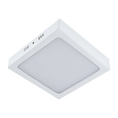 MARTIN LED d valkoinen 24w nw 2160 lm katto smd LED-valaisin Strühm 35x300x300mm hinta ja tiedot | Upotettavat valaisimet ja LED-valaisimet | hobbyhall.fi