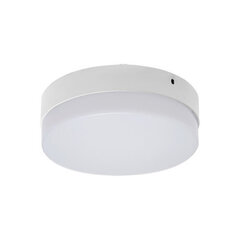 ROBIN LED c 18w nw 1620 lm katto smd LED-valaisin Strühm 55x180x180mm hinta ja tiedot | Kattovalaisimet | hobbyhall.fi