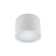 ROLEN LED 7w valkoinen nw 580 lm katto smd LED-valaisin Strühm 70x100x100mm hinta ja tiedot | Kattovalaisimet | hobbyhall.fi