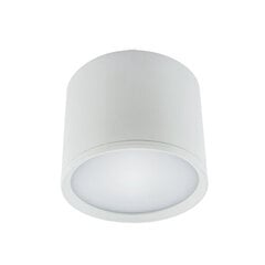 ROLEN LED 10w valkoinen nw 840 lm katto smd LED-valaisin Strühm 90x120x120mm hinta ja tiedot | Kattovalaisimet | hobbyhall.fi