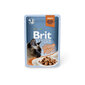 Kissan säilykkeet Brit Premium Cat Delicate Turkey in Gravy 85g x 24 kpl hinta ja tiedot | Kissanruoka | hobbyhall.fi