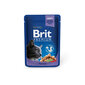 Kissanruoka Brit Premium Cod Fish 100g x 24 kpl hinta ja tiedot | Kissanruoka | hobbyhall.fi