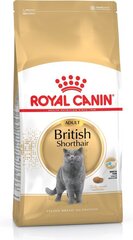 Kissanruoka Royal Canin British Shorthair 4 kg hinta ja tiedot | Kissan kuivaruoka | hobbyhall.fi