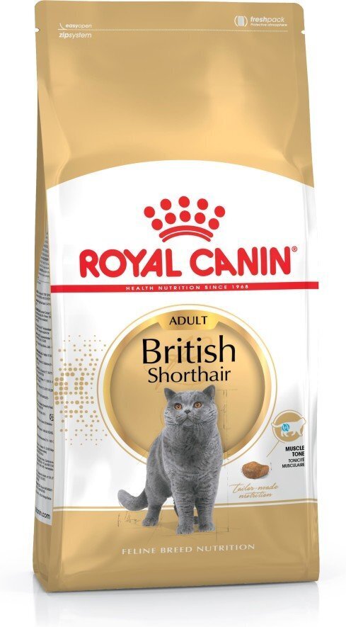 Kissanruoka Royal Canin British Shorthair 4 kg hinta ja tiedot | Kissan kuivaruoka | hobbyhall.fi