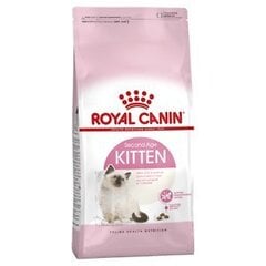 Kissanpennujen Royal Canin Kitten 2 kg hinta ja tiedot | Kissan kuivaruoka | hobbyhall.fi