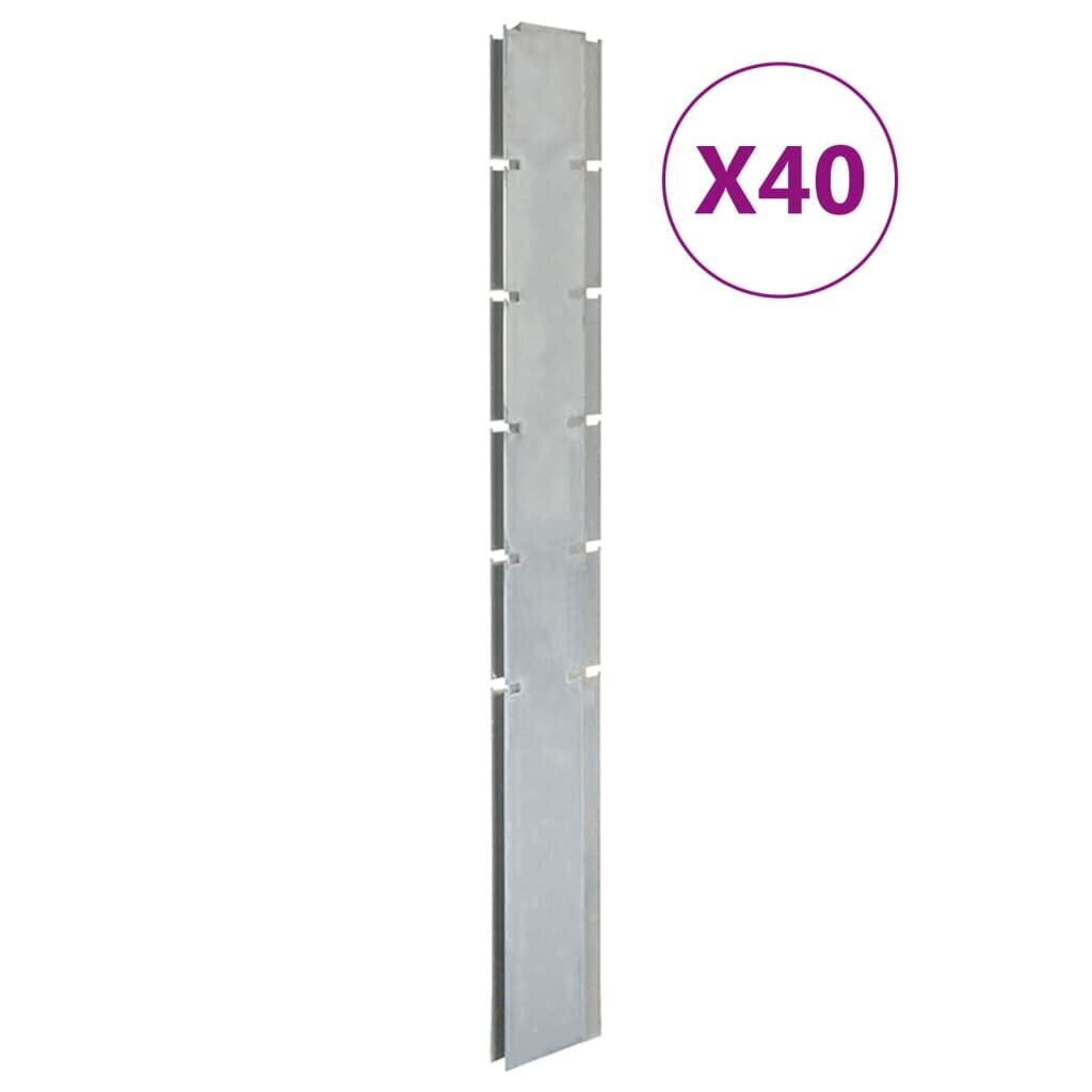 vidaXL Puutarha-aitatolpat 40 kpl hopea 160 cm galvanoitu teräs hinta ja tiedot | Aidat ja tarvikkeet | hobbyhall.fi