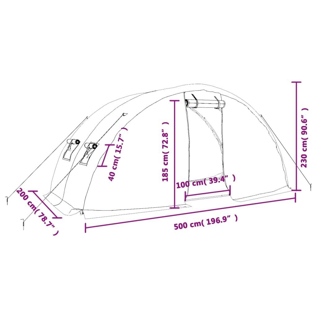 vidaXL Kasvihuone teräsrungolla valkoinen 10 m² 5x2x2,3 m hinta ja tiedot | Kasvihuoneet | hobbyhall.fi