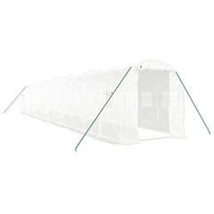 vidaXL Kasvihuone teräsrungolla valkoinen 24 m² 12x2x2 m hinta ja tiedot | Kasvihuoneet | hobbyhall.fi