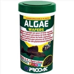 Prodac Algae Wafers yrttitabletit kaloille, 250ml 125g hinta ja tiedot | Kalanruoka | hobbyhall.fi