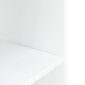 vidaXL Akvaarioteline valkoinen 100x40x60 cm tekninen puu hinta ja tiedot | Akvaariotarvikkeet | hobbyhall.fi