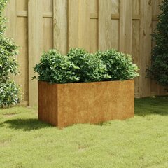 vidaXL Kukkalaatikko 80x40x40 cm Corten teräs hinta ja tiedot | Kukkalaatikot | hobbyhall.fi