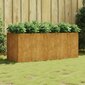 vidaXL Korotettu kukkalaatikko 200x80x80 cm Corten teräs hinta ja tiedot | Kukkalaatikot | hobbyhall.fi