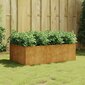 vidaXL Korotettu kukkalaatikko 120x80x40 cm Corten teräs hinta ja tiedot | Kukkalaatikot | hobbyhall.fi