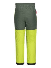 Housut lapsille Jack Wolfskin Icy Mountain K Lime, vihreä hinta ja tiedot | Poikien housut | hobbyhall.fi