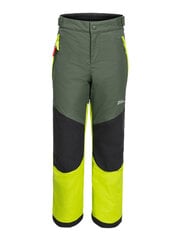 Housut lapsille Jack Wolfskin Icy Mountain K Lime, vihreä hinta ja tiedot | Poikien housut | hobbyhall.fi