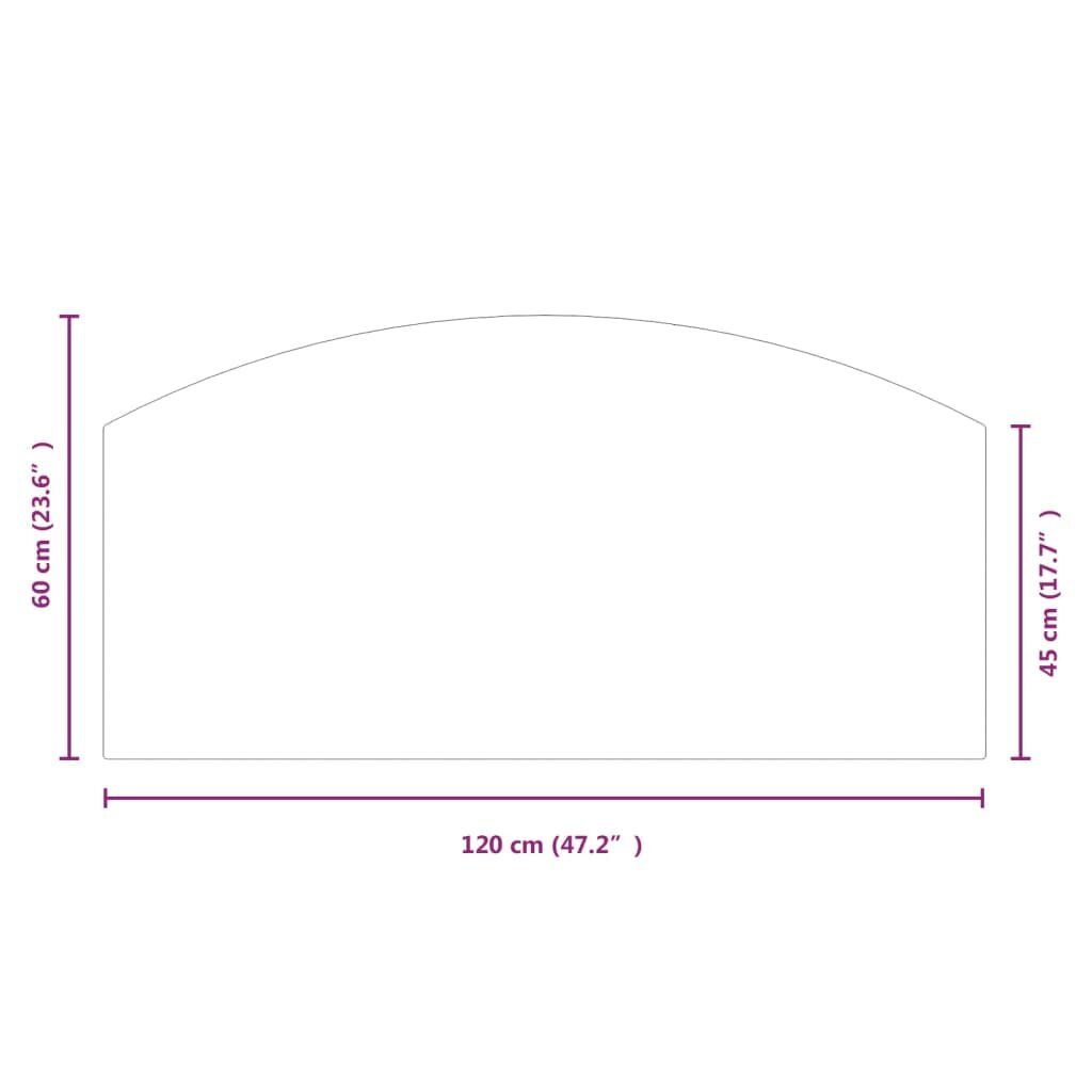 vidaXL Takan lasilevy 120x60 cm hinta ja tiedot | Takka- ja uunitarvikkeet | hobbyhall.fi