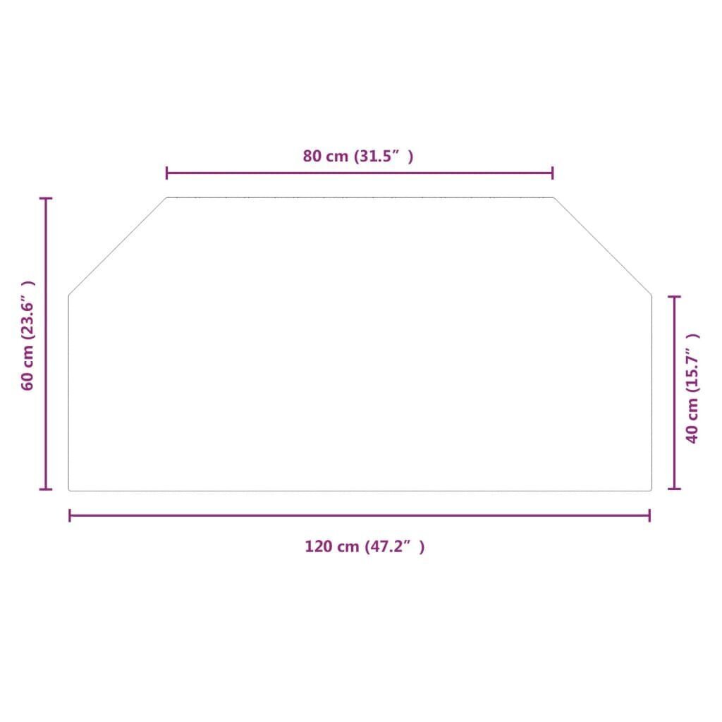 vidaXL Takan lasilevy kuusikulmio 120x60 cm hinta ja tiedot | Takka- ja uunitarvikkeet | hobbyhall.fi