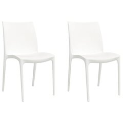 vidaXL Puutarhatuolit 2 kpl valkoinen 50x46x80 cm polypropeeni hinta ja tiedot | Puutarhatuolit | hobbyhall.fi