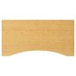 vidaXL Pöytälevy 100x50x2,5 cm bambu hinta ja tiedot | Pöytälevyt | hobbyhall.fi