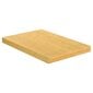 vidaXL Leikkuulauta 35x50x4 cm bambu hinta ja tiedot | Leikkuulaudat | hobbyhall.fi