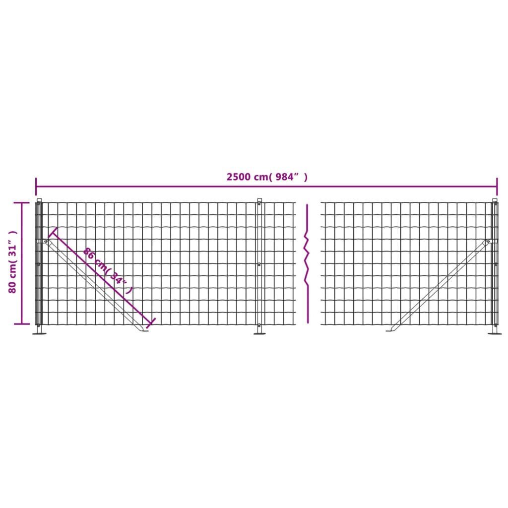 vidaXL Verkkoaita laipalla antrasiitti 0,8x25 m hinta ja tiedot | Aidat ja tarvikkeet | hobbyhall.fi