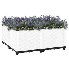 vidaXL Korotettu kukkalaatikko 80x80x38 cm polypropeeni hinta ja tiedot | Kukkalaatikot | hobbyhall.fi