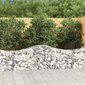 vidaXL Kaareva kivikori 200x50x60/80 cm galvanoitu rauta hinta ja tiedot | Kukkalaatikot | hobbyhall.fi