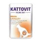 Kattovit Feline Diet Urinary aikuisille kissoille, 12x85 g hinta ja tiedot | Kissanruoka | hobbyhall.fi