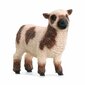 Figuurit Schleich Farm World Sheep 42660 hinta ja tiedot | Poikien lelut | hobbyhall.fi