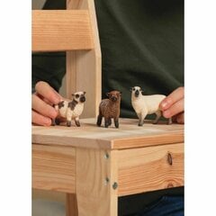 Figuurit Schleich Farm World Sheep 42660 hinta ja tiedot | Poikien lelut | hobbyhall.fi