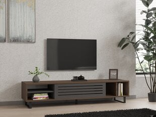 TV-pöytä Asir Eray, ruskea/harmaa hinta ja tiedot | TV-tasot | hobbyhall.fi