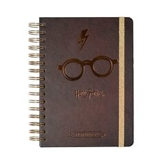 Harry Potter hinta ja tiedot | Pelien oheistuotteet | hobbyhall.fi