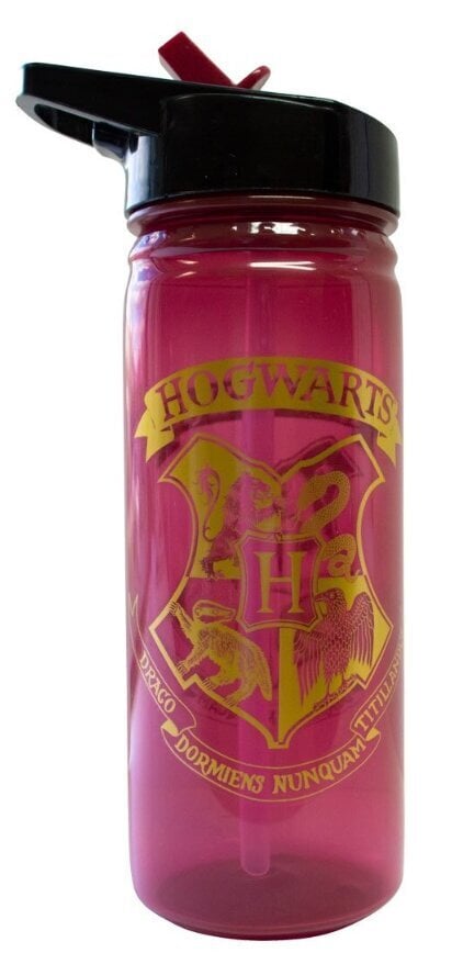 Harry Potter 600ml hinta ja tiedot | Pelien oheistuotteet | hobbyhall.fi