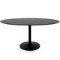 Pöytä Aatrium Taco, 160x110x74 cm, musta hinta ja tiedot | Ruokapöydät | hobbyhall.fi